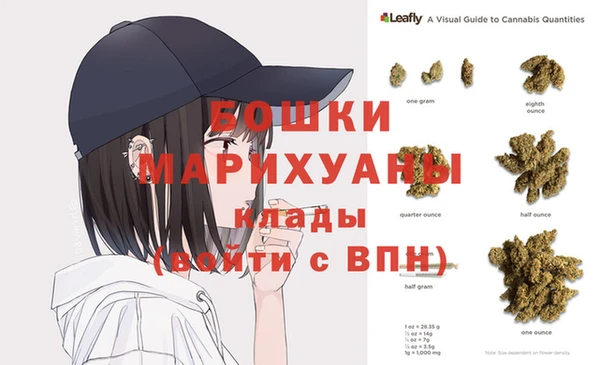 ГАЛЛЮЦИНОГЕННЫЕ ГРИБЫ Алексин