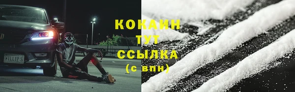 шишки Балабаново