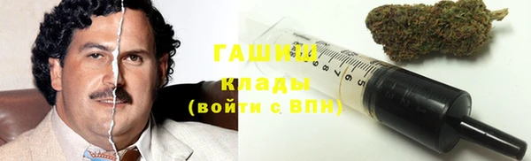 стаф Балахна