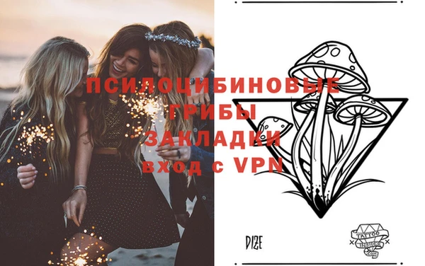 прущая мука Арсеньев
