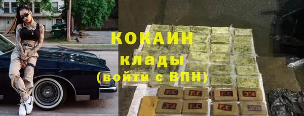 шишки Балабаново
